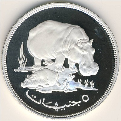 Судан, 5 фунтов (1976 г.)