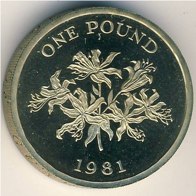 Guernsey, 1 pound, 1981