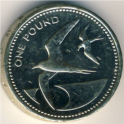 Остров Святой Елены и острова Вознесения, 1 фунт (1991–2015 г.)