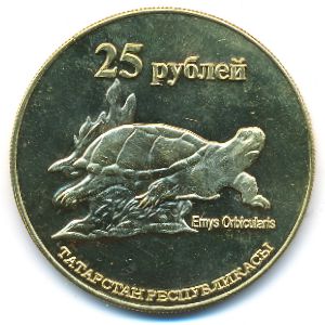 Tatarstan., 25 roubles, 2013