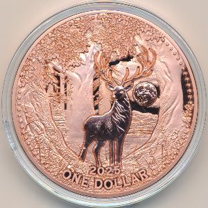 Меса Гранде., 1 доллар (2025 г.)