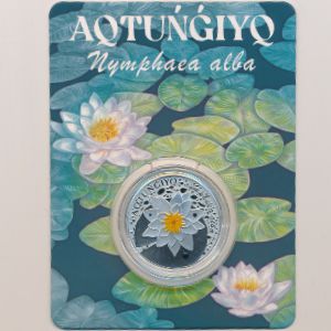 Kazakhstan, 500 тенге, 