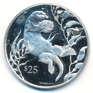 Виргинские острова, 25 долларов (1993 г.)