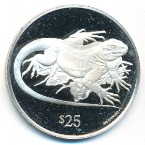 Виргинские острова, 25 долларов (1993 г.)