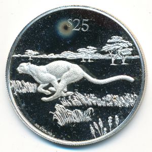 Виргинские острова, 25 долларов (1993 г.)