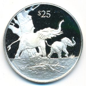 Виргинские острова, 25 долларов (1993 г.)