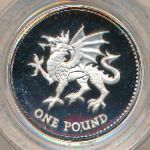 Great Britain, 1 pound, 1995