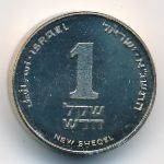 Израиль, 1 новый шекель (1991 г.)