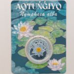 Kazakhstan, 500 тенге, 