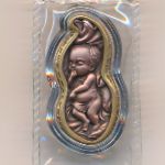 Самоа, 20 сене (2026 г.)